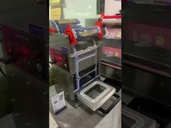 электрический запайщик DF280YT