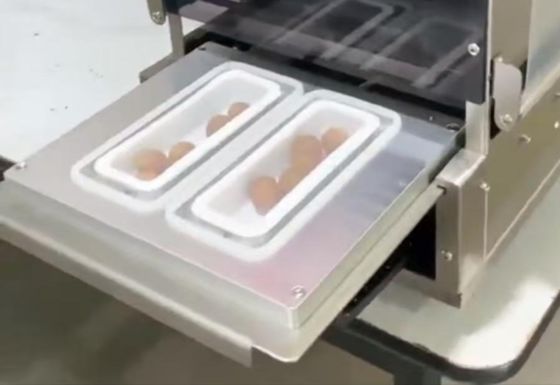 Automatic Food Tray Sealer Machine CH-DF250TA with Electronic Temperature Controller and Customizable Mould Dimension